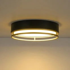 Black Gold Metal Round Dimmable LED Flush Mount Light 5CCT