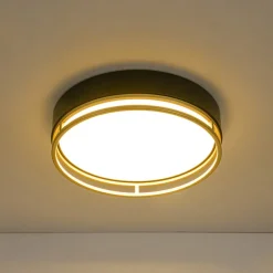 Black Gold Metal Round Dimmable LED Flush Mount Light 5CCT