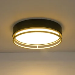 Black Gold Metal Round Dimmable LED Flush Mount Light 5CCT
