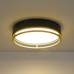 Black Gold Metal Round Dimmable LED Flush Mount Light 5CCT