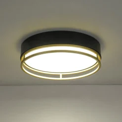 Black Gold Metal Round Dimmable LED Flush Mount Light 5CCT