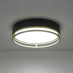 Black Gold Metal Round Dimmable LED Flush Mount Light 5CCT