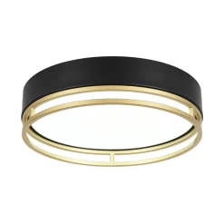 Black Gold Metal Round Dimmable LED Flush Mount Light 5CCT