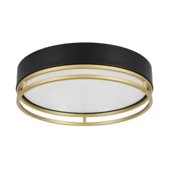 Black Gold Metal Round Dimmable LED Flush Mount Light 5CCT