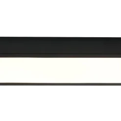 Black Minimalist Oval Dimmable LED Flush Mount Light