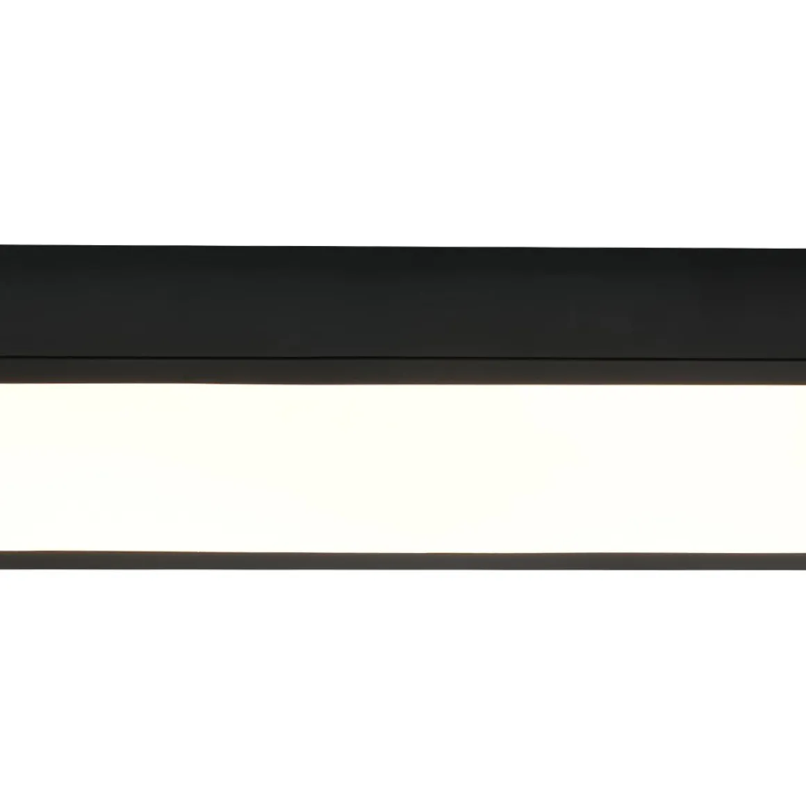 Black Minimalist Oval Dimmable LED Flush Mount Light