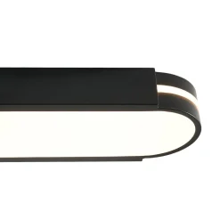Black Minimalist Oval Dimmable LED Flush Mount Light