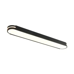 Black Minimalist Oval Dimmable LED Flush Mount Light