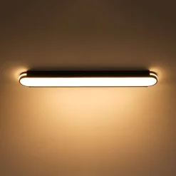 Black Minimalist Oval Dimmable LED Flush Mount Light