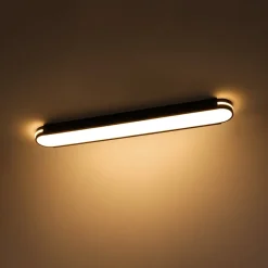 Black Minimalist Oval Dimmable LED Flush Mount Light