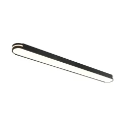 Black Minimalist Oval Dimmable LED Flush Mount Light