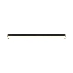 Black Minimalist Oval Dimmable LED Flush Mount Light