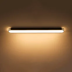 Black Minimalist Oval Dimmable LED Flush Mount Light