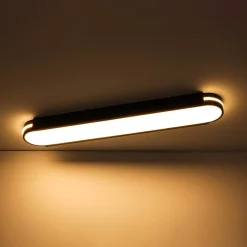 Black Minimalist Oval Dimmable LED Flush Mount Light