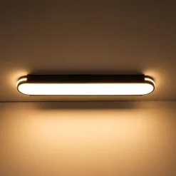Black Minimalist Oval Dimmable LED Flush Mount Light