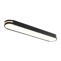 Black Minimalist Oval Dimmable LED Flush Mount Light