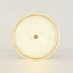 Brass Crystal Resin Art Dimmable LED Round LED Ceiling Light