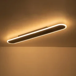 Contemporary Long Oval Warm Dimmable LED Ceiling Light