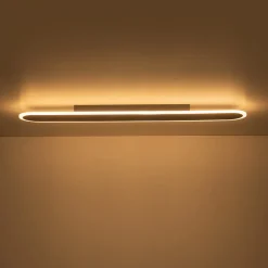 Contemporary Long Oval Warm Dimmable LED Ceiling Light