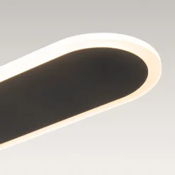 Contemporary Long Oval Warm Dimmable LED Ceiling Light