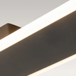 Contemporary Long Oval Warm Dimmable LED Ceiling Light
