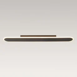 Contemporary Long Oval Warm Dimmable LED Ceiling Light