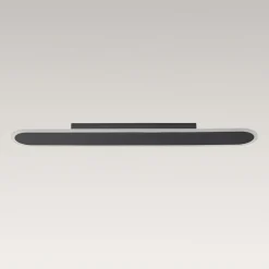 Contemporary Long Oval Warm Dimmable LED Ceiling Light