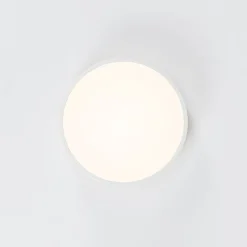 Contemporary Wood Round Dimmable LED Ceiling Light