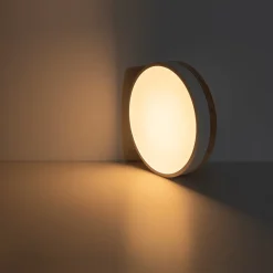 Contemporary Wood Round Dimmable LED Ceiling Light