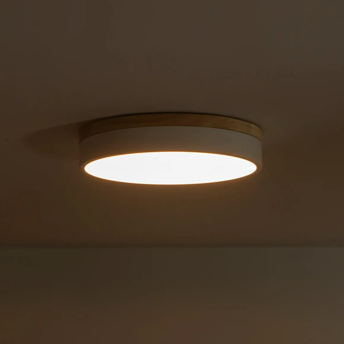 Contemporary Wood Round Dimmable LED Ceiling Light