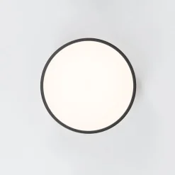 Contemporary Wood Round Dimmable LED Ceiling Light