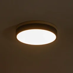 Contemporary Wood Round Dimmable LED Ceiling Light