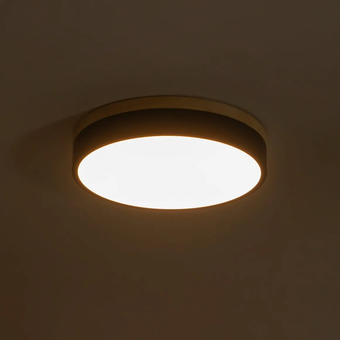 Contemporary Wood Round Dimmable LED Ceiling Light