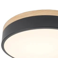 Contemporary Wood Round Dimmable LED Ceiling Light