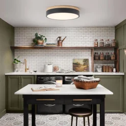 Contemporary Wood Round Dimmable LED Ceiling Light