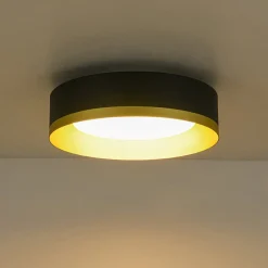 Dimmable LED Black Gold Iron Milky Glass Drum Flush Mount