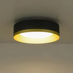 Dimmable LED Black Gold Iron Milky Glass Drum Flush Mount