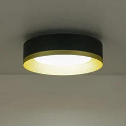 Dimmable LED Black Gold Iron Milky Glass Drum Flush Mount
