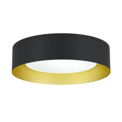 Dimmable LED Black Iron Milky Glass Round Drum Ceiling Light