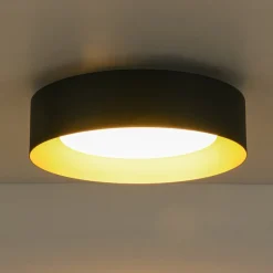 Dimmable LED Black Iron Milky Glass Round Drum Ceiling Light