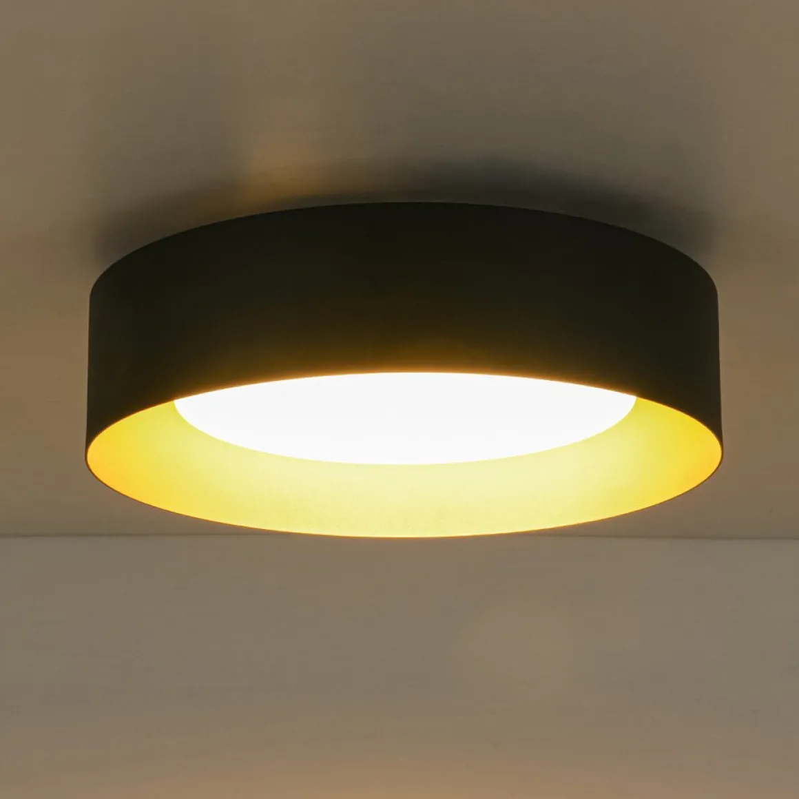 Dimmable LED Black Iron Milky Glass Round Drum Ceiling Light