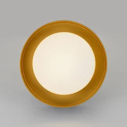 Dimmable LED Black Iron Milky Glass Round Drum Ceiling Light