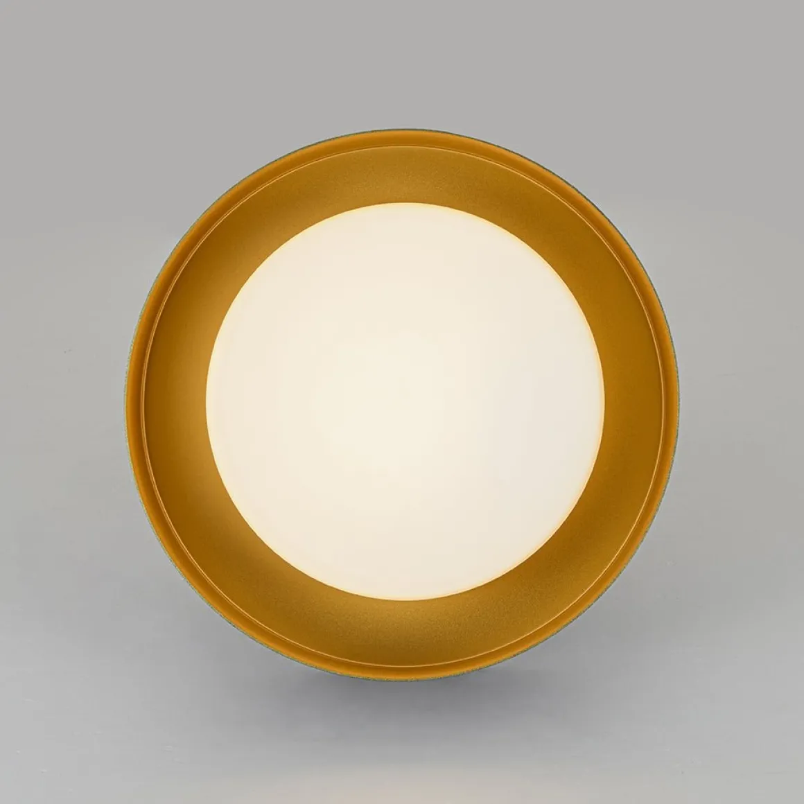 Dimmable LED Black Iron Milky Glass Round Drum Ceiling Light