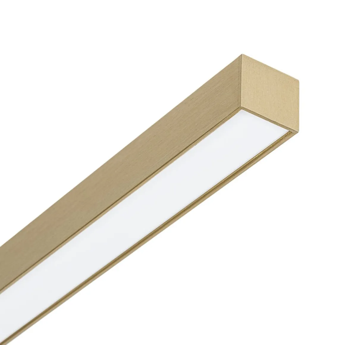 Dimmable 2-Light Long Strip Linear LED Flush Mount