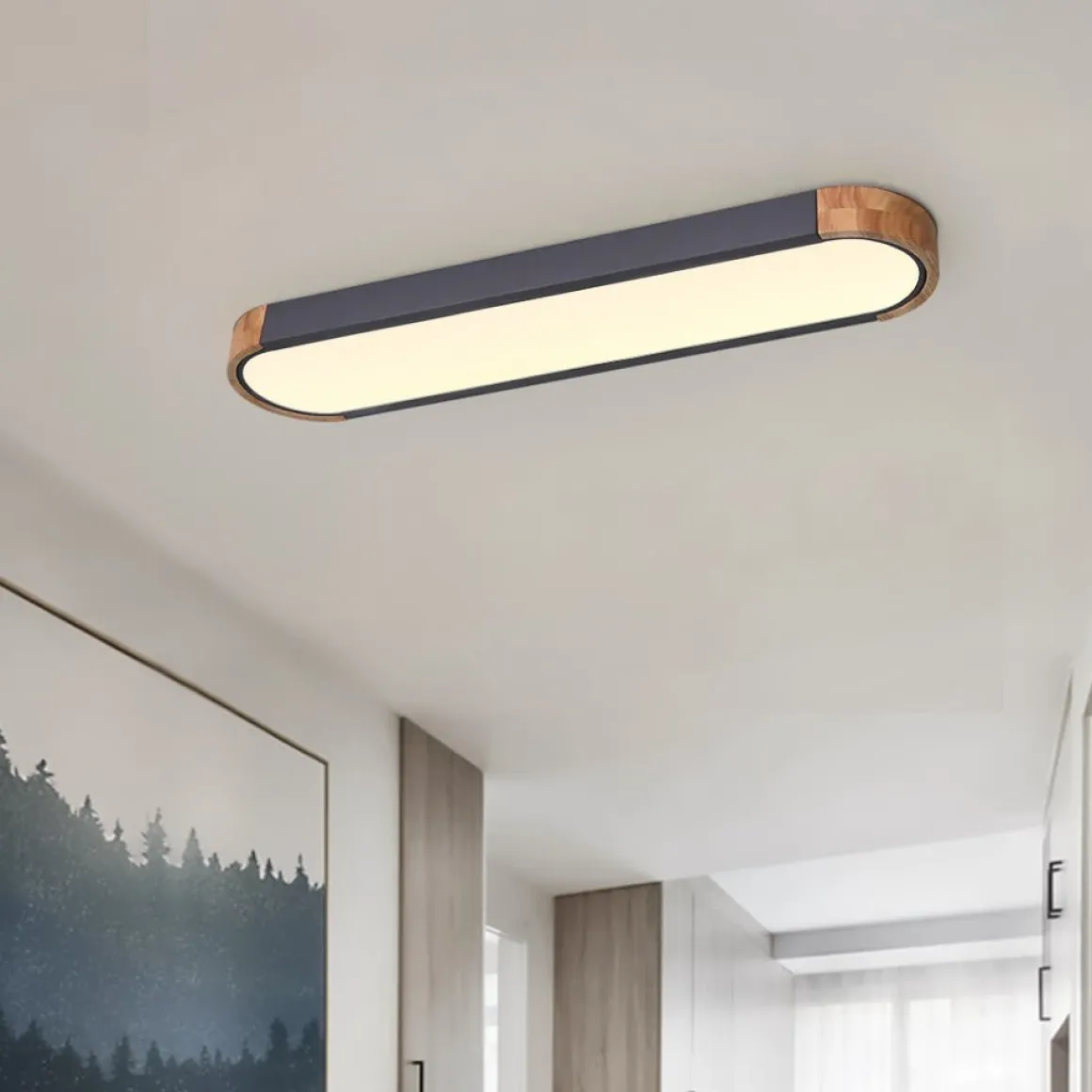 Dimmable Minimalist Long Oval Flush Mount LED Light