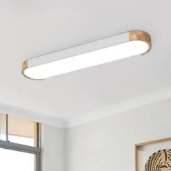 Dimmable Minimalist Long Oval Flush Mount LED Light
