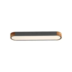 Dimmable Minimalist Long Oval Flush Mount LED Light