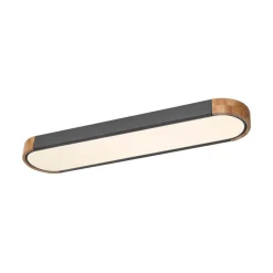 Dimmable Minimalist Long Oval Flush Mount LED Light