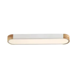 Dimmable Minimalist Long Oval Flush Mount LED Light