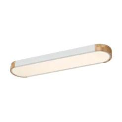 Dimmable Minimalist Long Oval Flush Mount LED Light